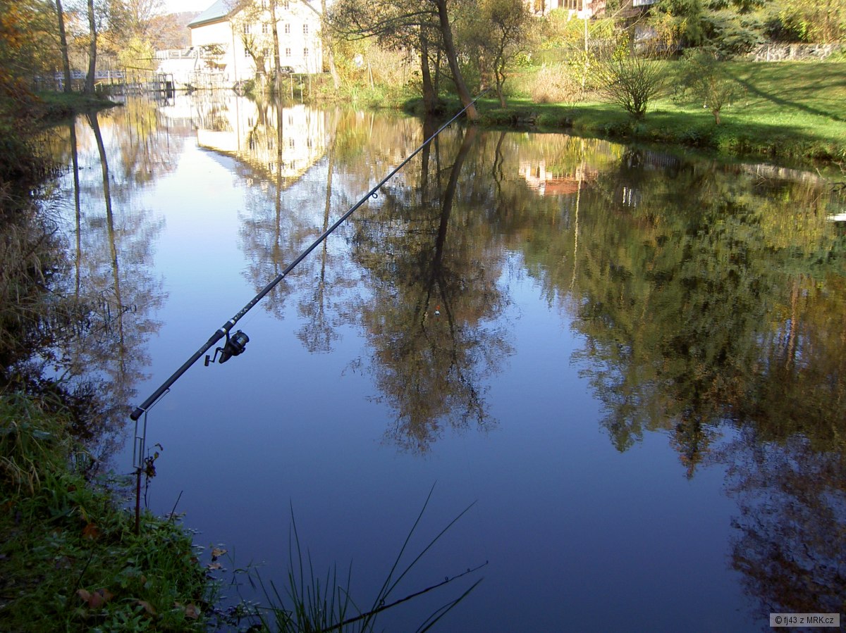 PLOUCNICE 3