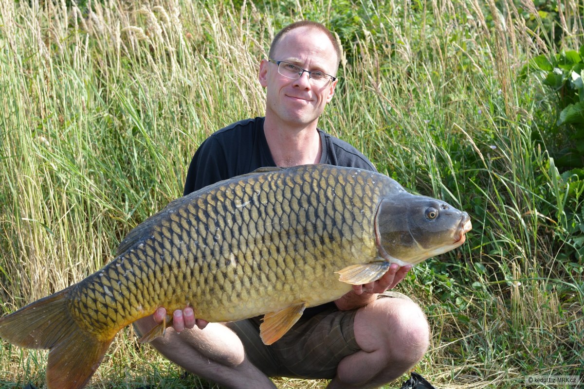 18,5kg