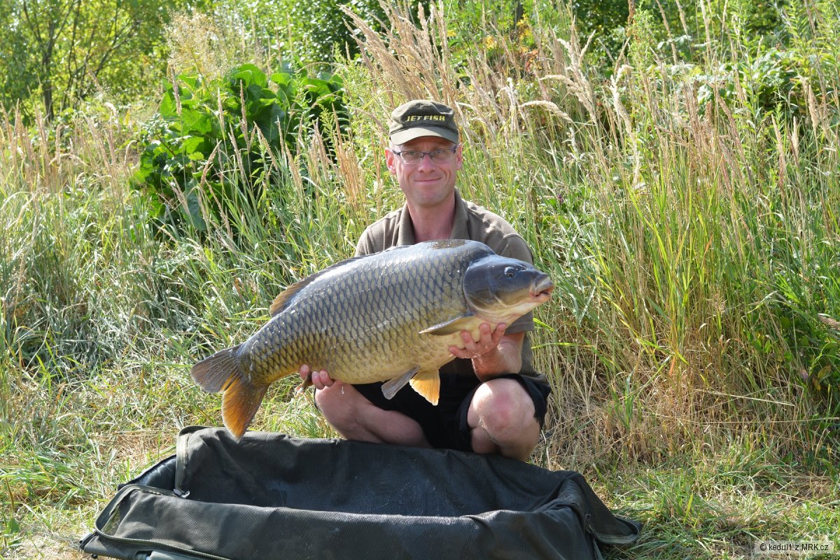 16kg