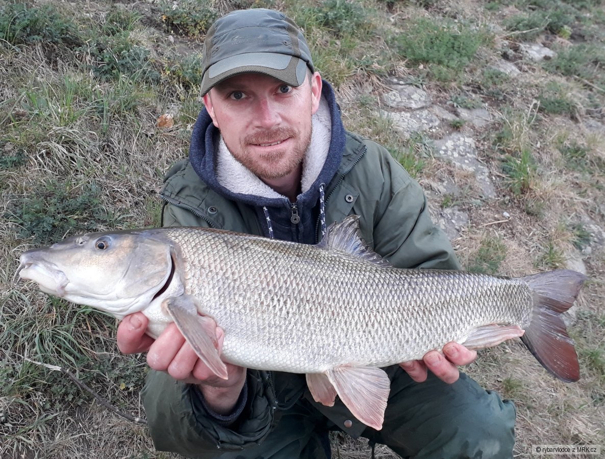 2018 Parma 70 cm