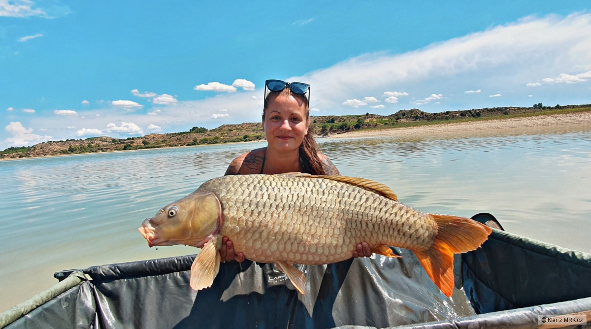 🐟🐟 Ebro