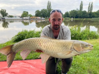 Amur 95cm Labe. COLMIC 5m, vlasec 16 h��ek 14.