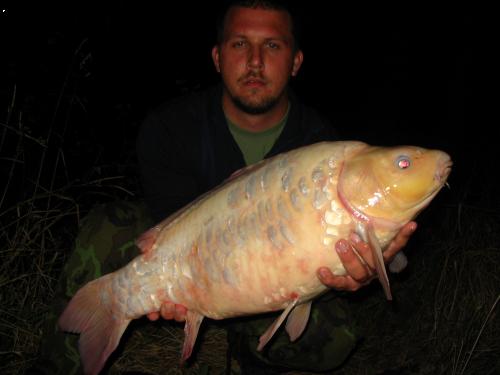 Labe -8.5kg