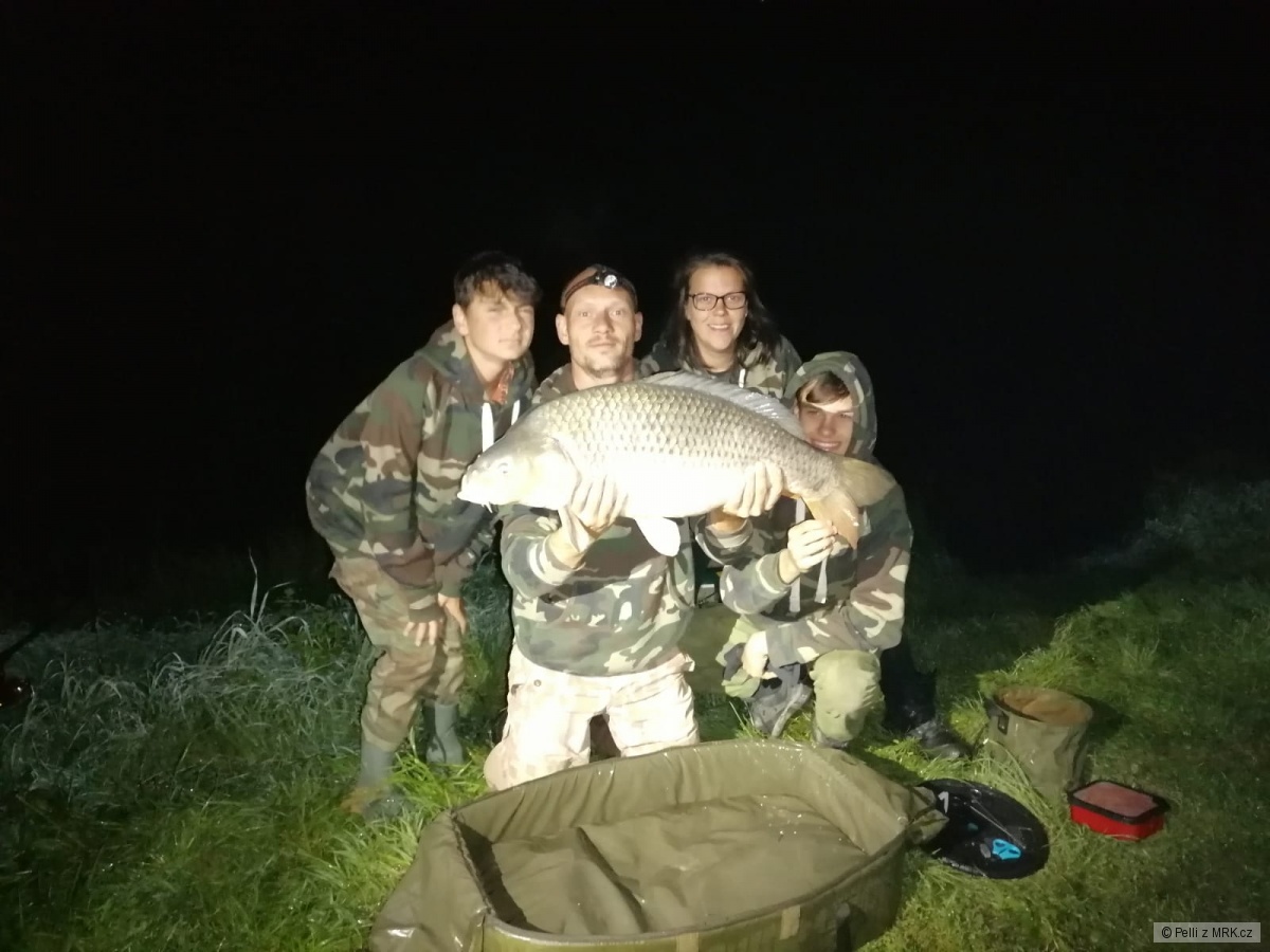 Kapr 82 cm, 11 kg