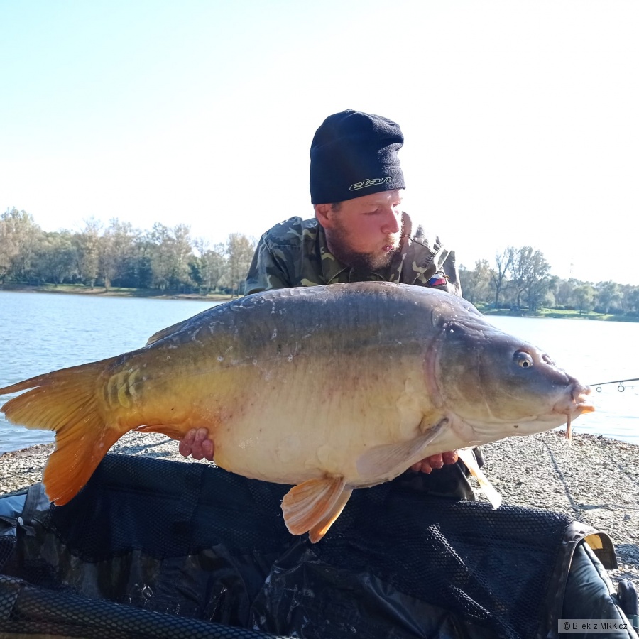 Kapr 20,26kg