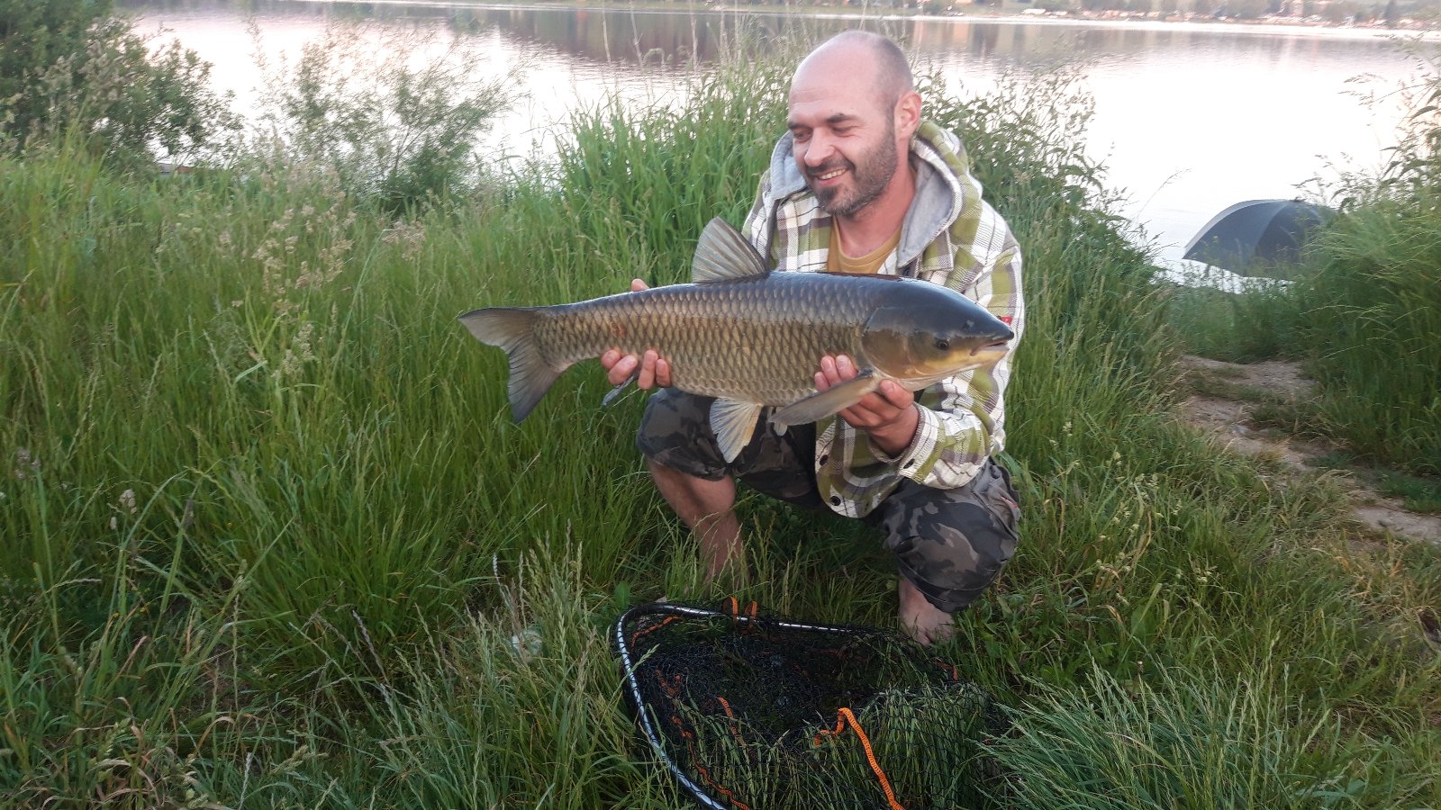 80cm na method. Nástraha ananas wafters od haldorado na trnu, návnada mango method od K.Jankovicze