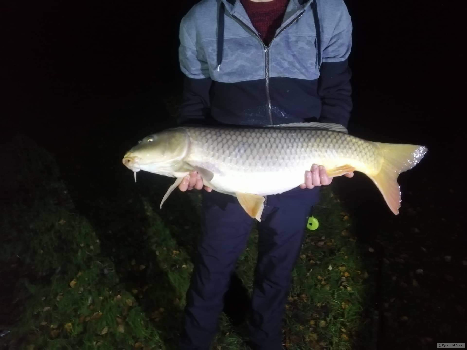 87cm,15.8kg