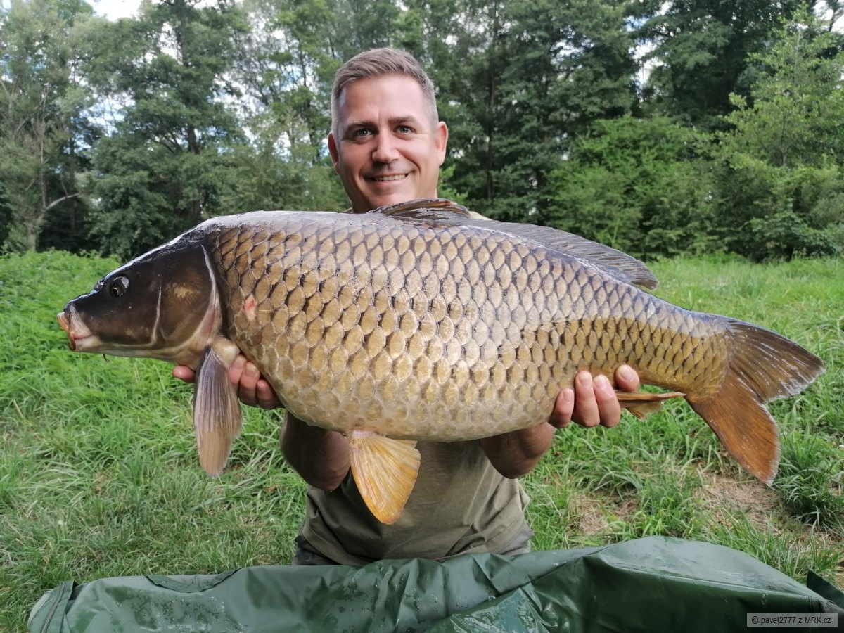88cm a 12,5kg