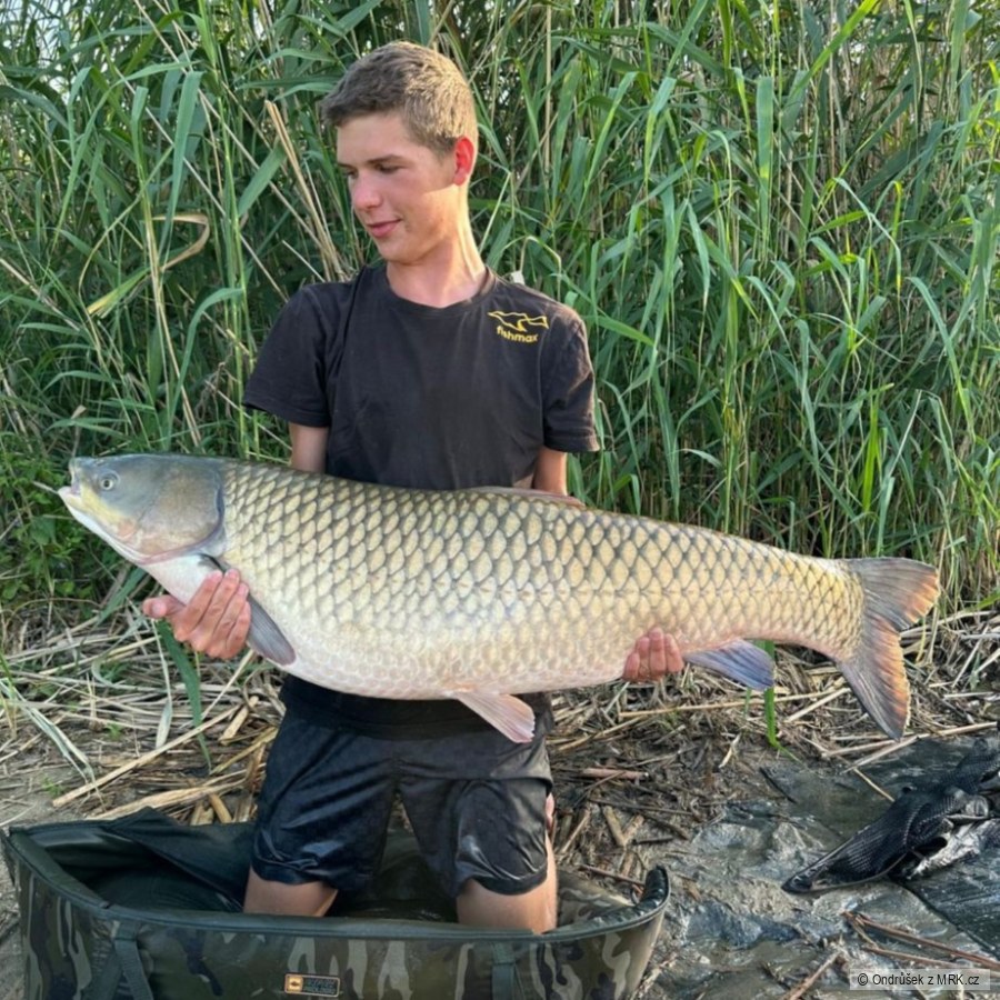 Amur 117cm 25kg léto