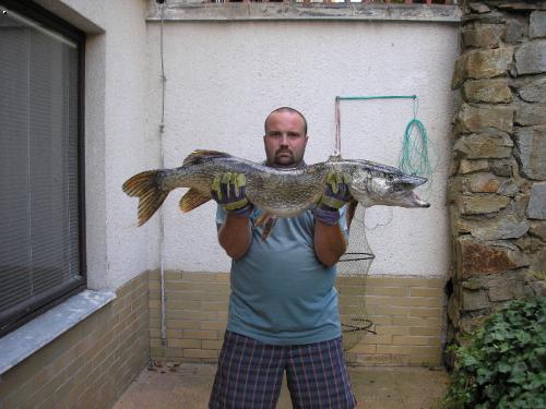 115cm,12kg-bez lanka