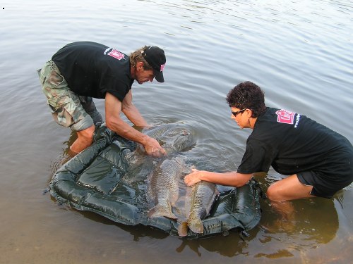 Apalachicola river