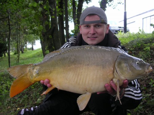 Kapr 69cm