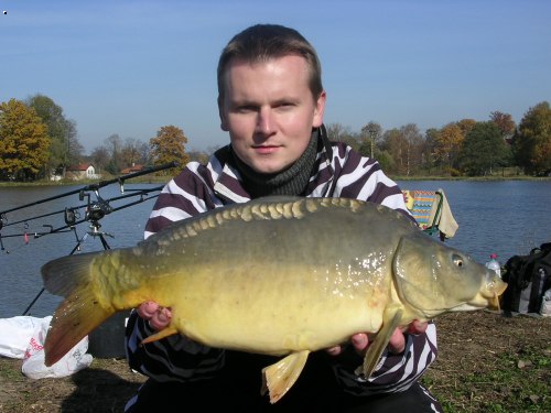 Kapr 58cm