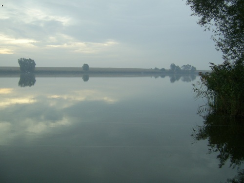 ��jnov� r�no II