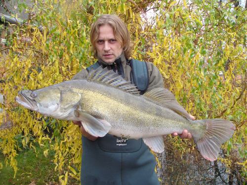 zander