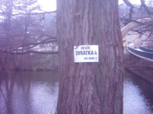 Svratka 4