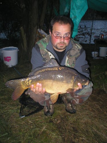 Dale�ice 2004