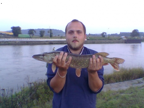 krasny ulovek