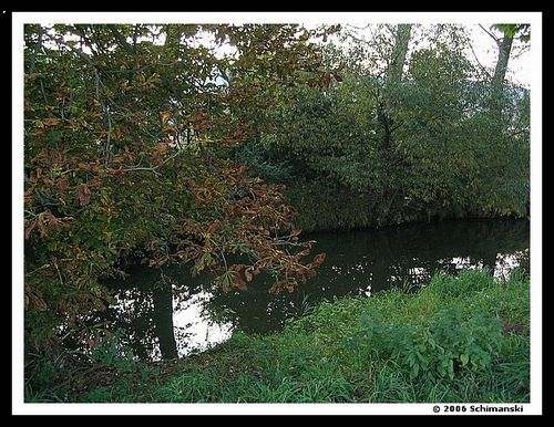 Svitava na podzim