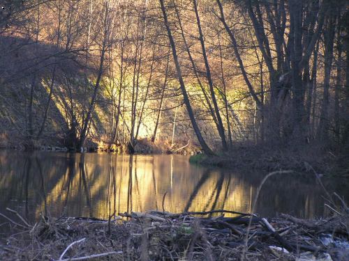 Rado�ovice - Podskal�