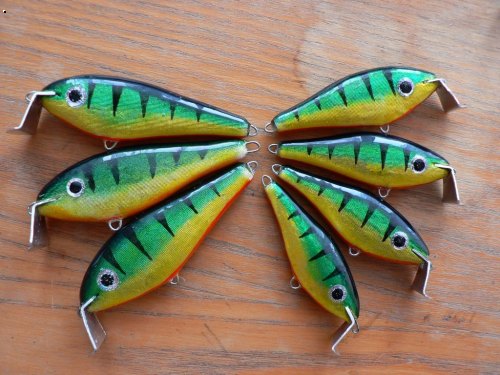shad rap PERCH 6 a 7,cm