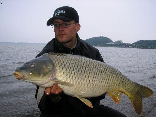 Sirava, 2004, K. Nash: scopex