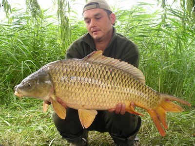 Adacs, 2005, Rolo, Dyn.Baits: Monster Krab