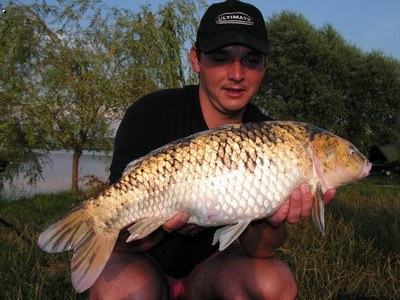 Adacs, 2005, Rolo, Dyn.Baits: Source