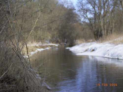 Blanice Vla�im