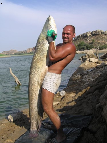Pelety Ebro
