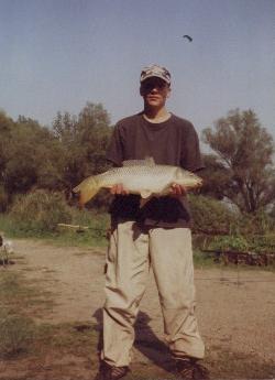 torpedo