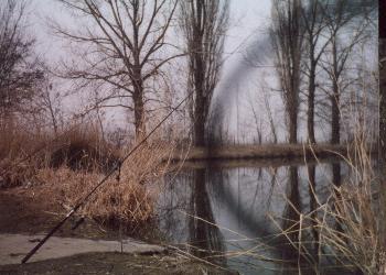 moje udiicka