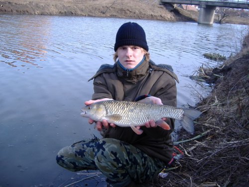 Jalec 52 cm
