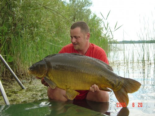 Kapr 22kg Mrtv� kor��
