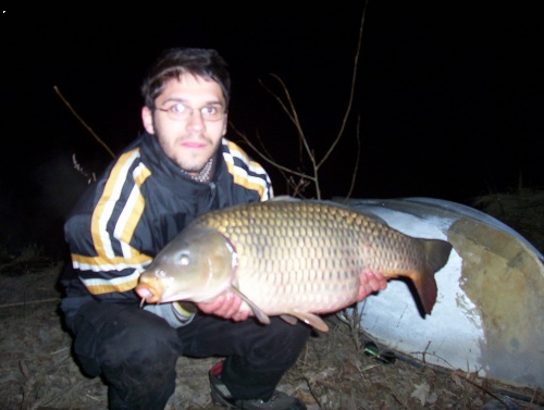 Dalas 2006