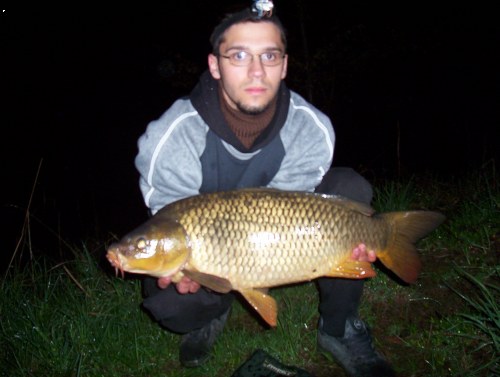 Dalas 2006