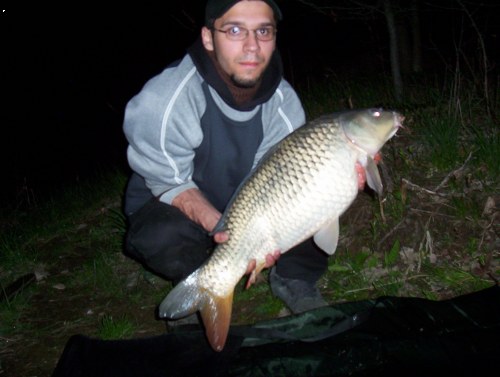 Dalas 2006