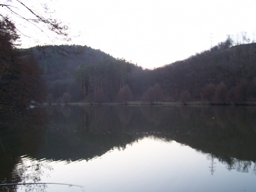 Krasa