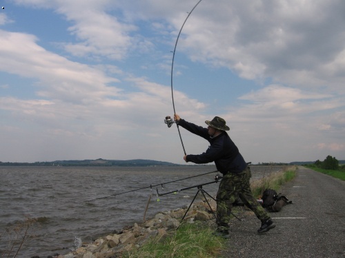 Shimano Hyperloop 3lb v akci 