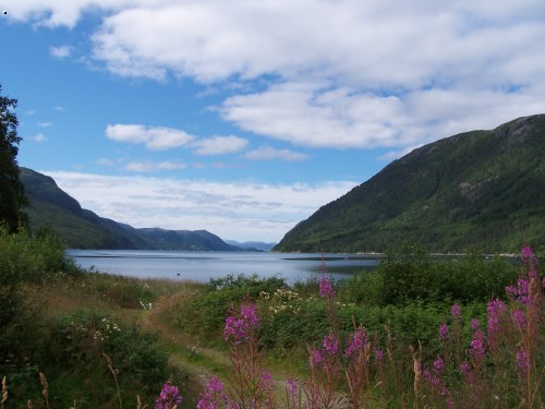 Snilfjord