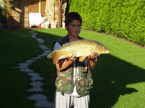 kap��k 62cm
