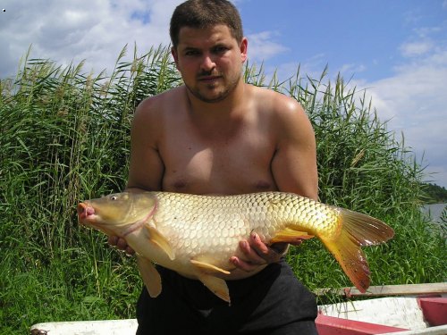 73cm,7kg