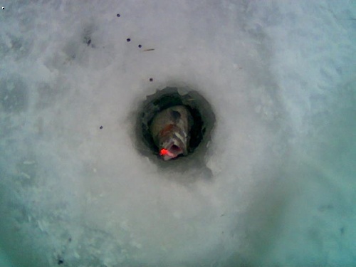 �ertovy rybn�ky