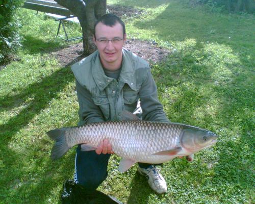 AMUR 85cm