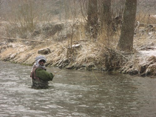 Ladovska zima