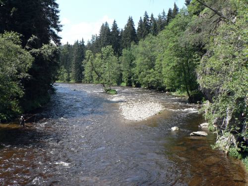 Otava