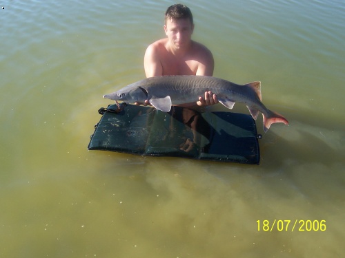 jeseter 122cm