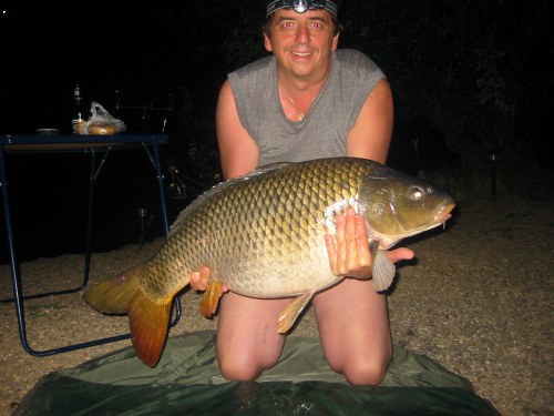 Kapr 14,5 kg