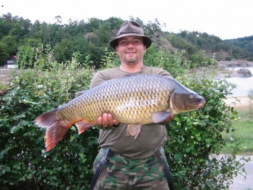 kapr 11,5kg
