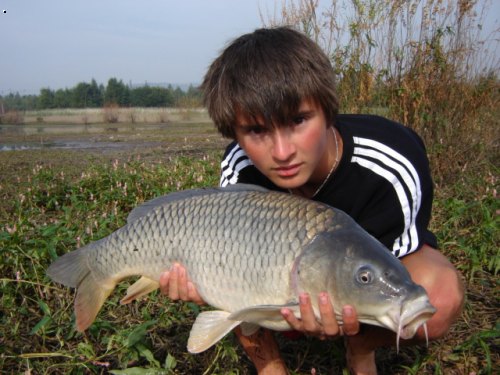 Kap��k z krmen� z kyj�c